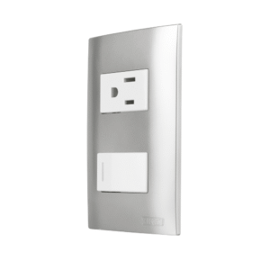 Tomacorriente + Interruptor Con Placa Plata 124831 Aksi